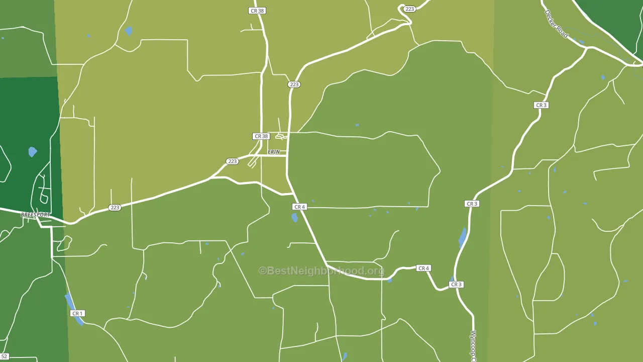 Erin, NY block-group voter-turnout map