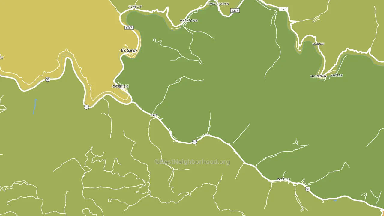 Erin, WV block-group voter-turnout map
