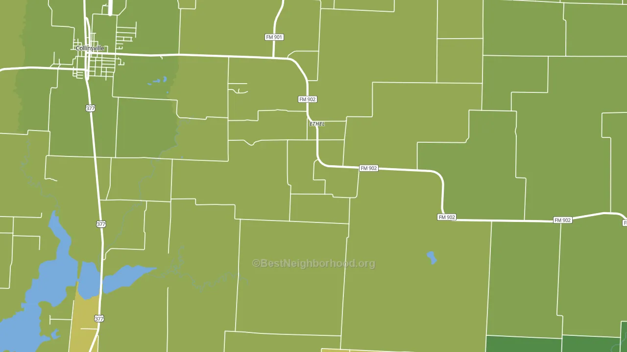 Ethel, TX block-group voter-turnout map