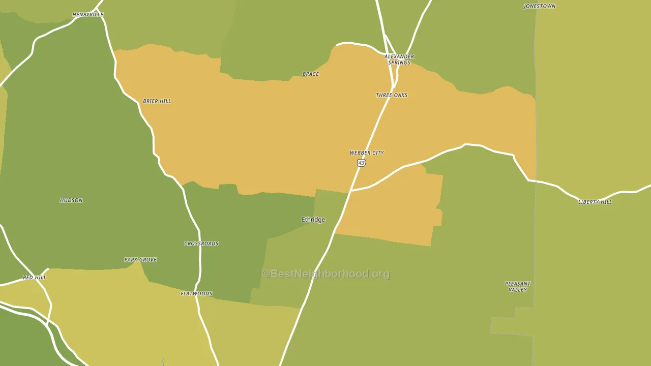 Ethridge, TN block-group voter-turnout map
