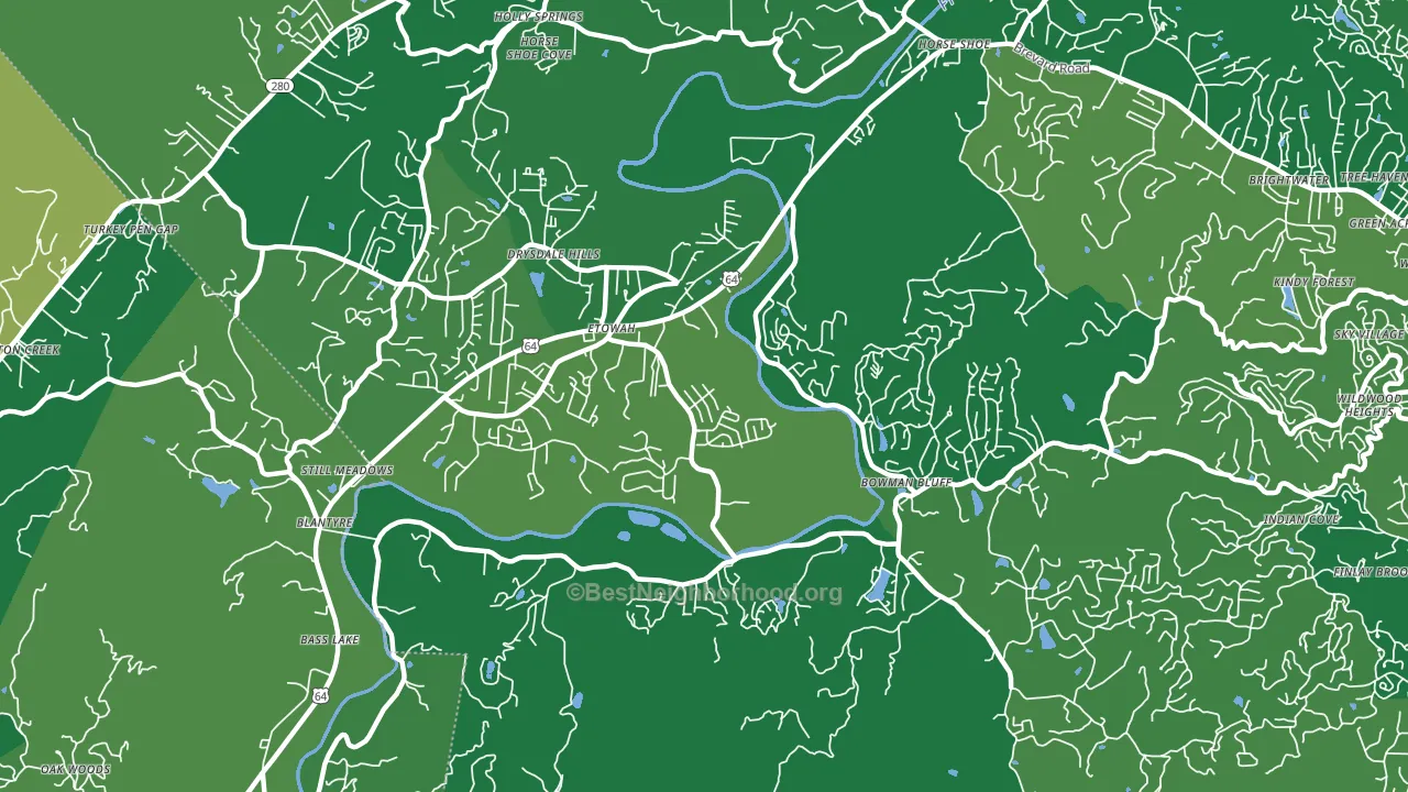 Etowah, NC block-group voter-turnout map