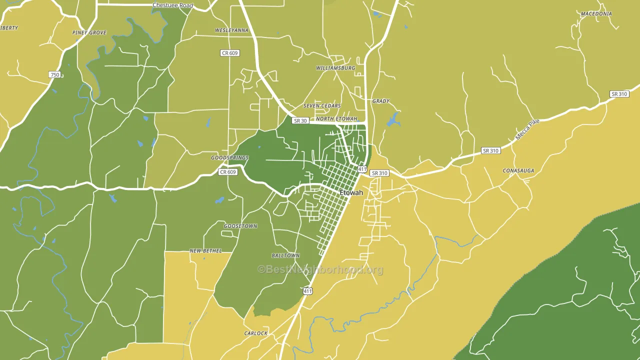 Etowah, TN block-group voter-turnout map