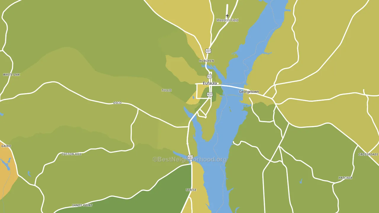 Eufaula, AL block-group voter-turnout map