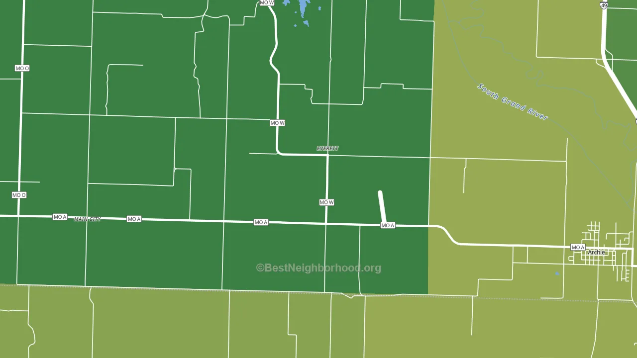 Everett, MO block-group voter-turnout map