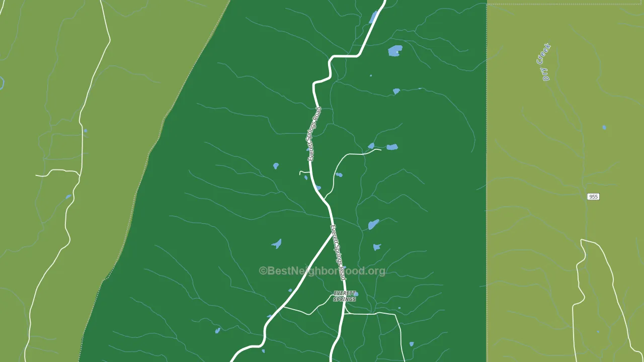 Everett Springs, GA block-group voter-turnout map