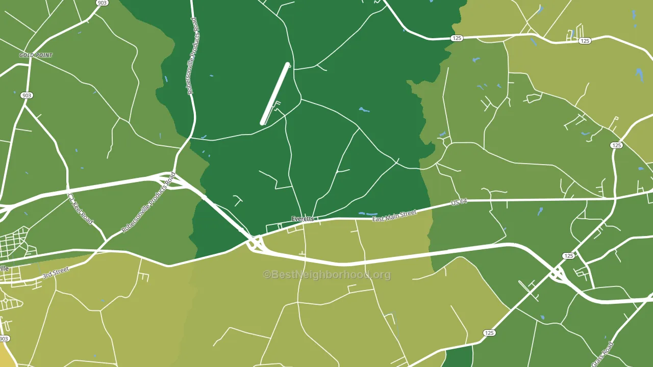 Everetts, NC block-group voter-turnout map
