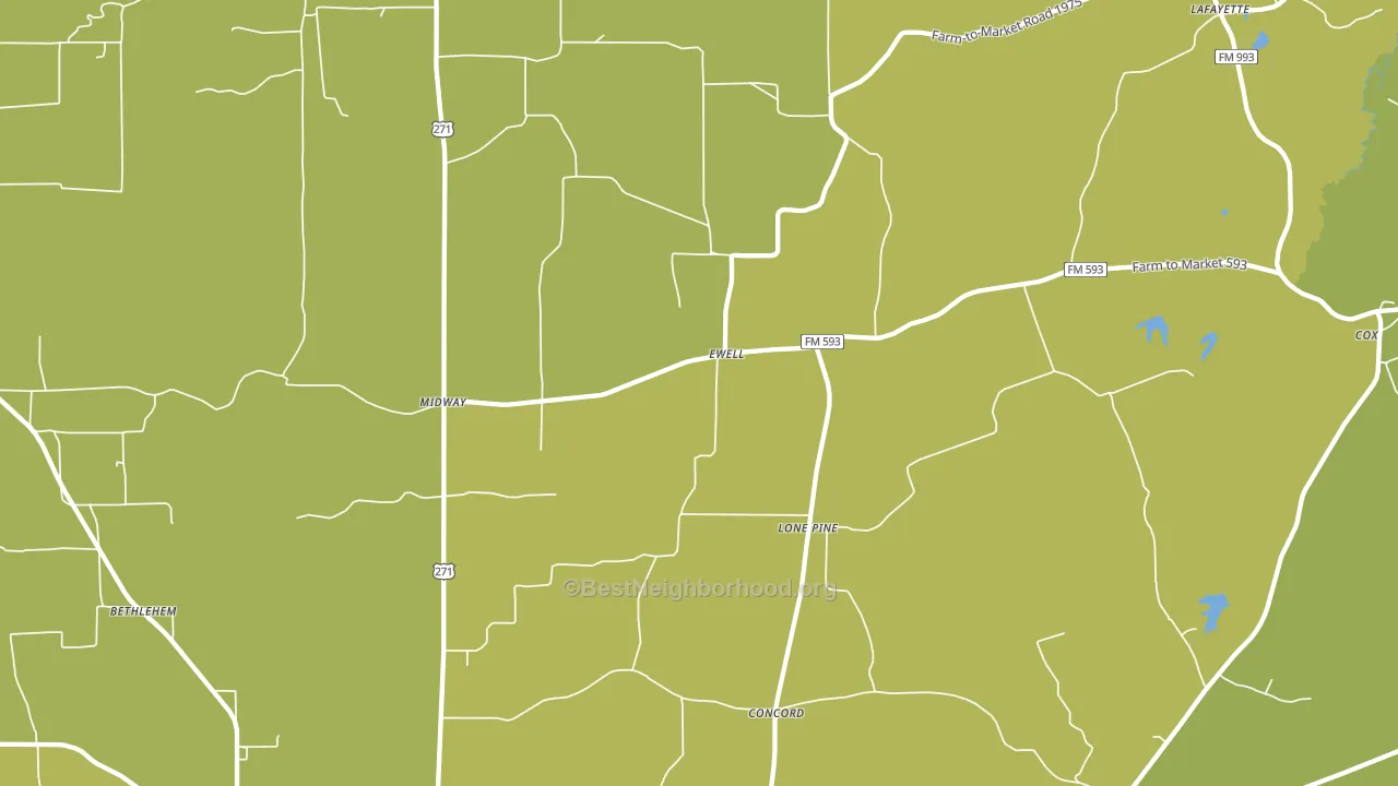 Ewell, TX block-group voter-turnout map