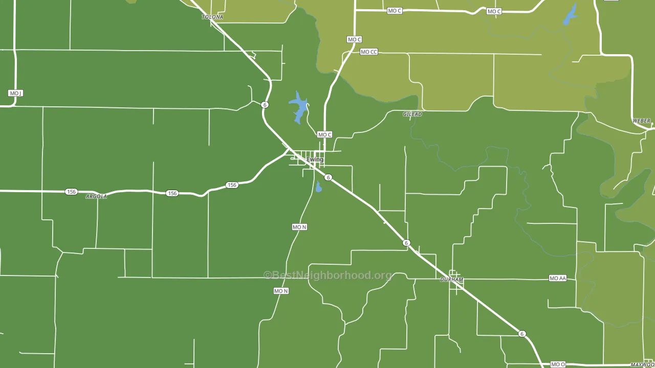 Ewing, MO block-group voter-turnout map