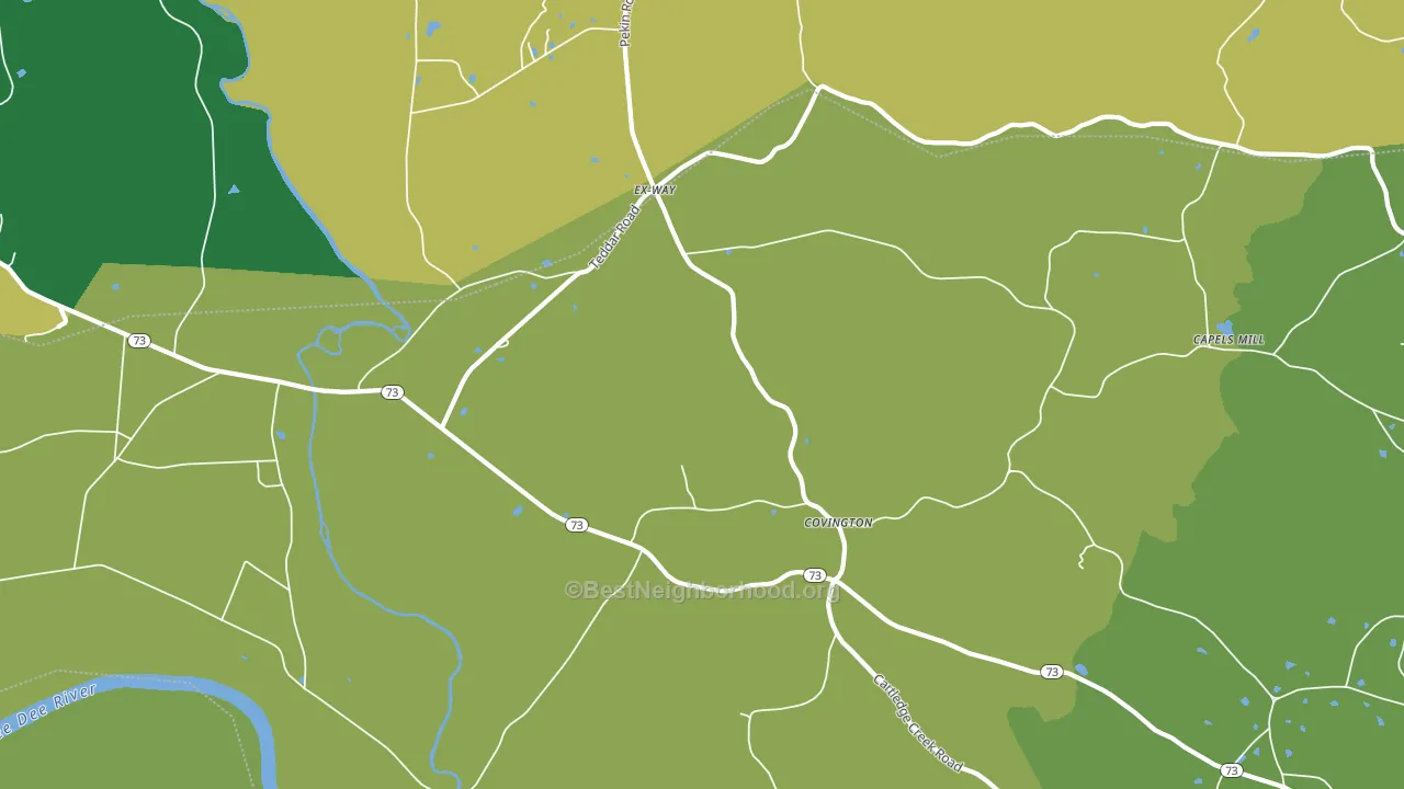 Ex-Way, NC block-group voter-turnout map