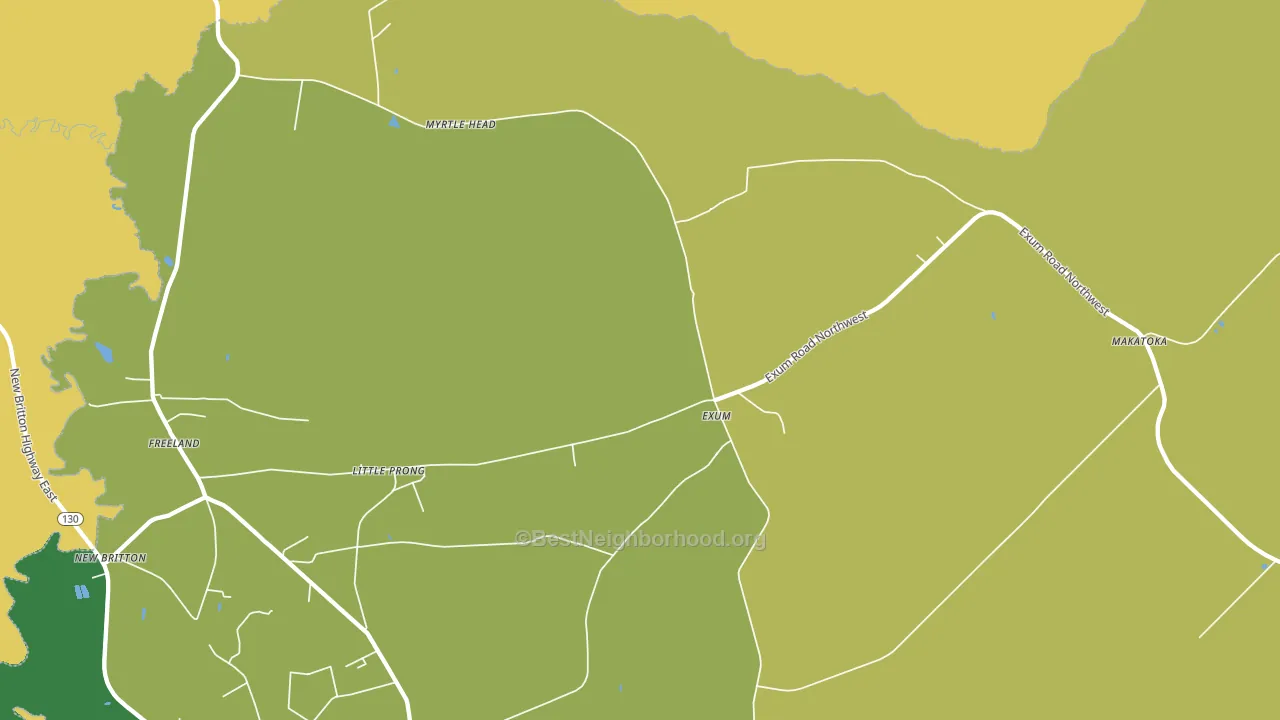 Exum, NC block-group voter-turnout map
