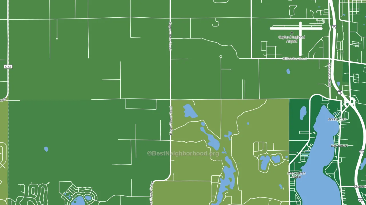 Eyedylwild Beach, MI block-group voter-turnout map
