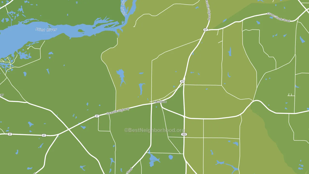 Faceville, GA block-group voter-turnout map