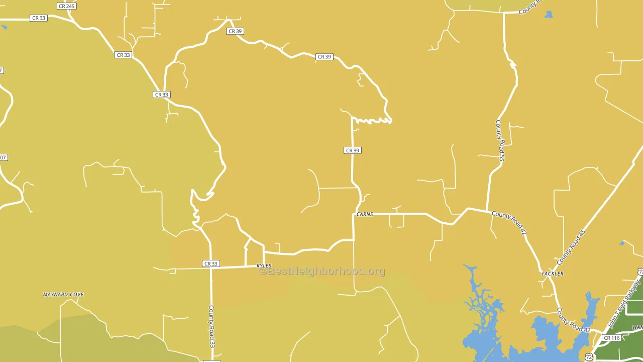 Fackler, AL block-group voter-turnout map
