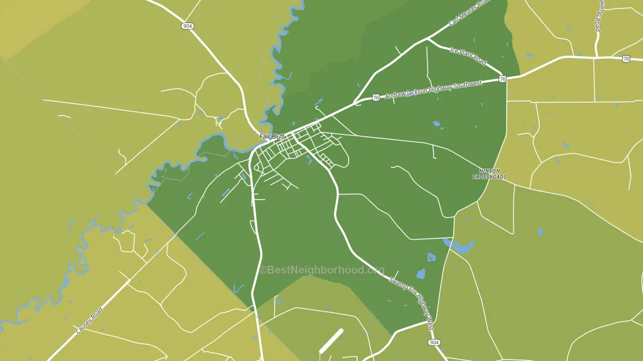 Fair Bluff, NC block-group voter-turnout map