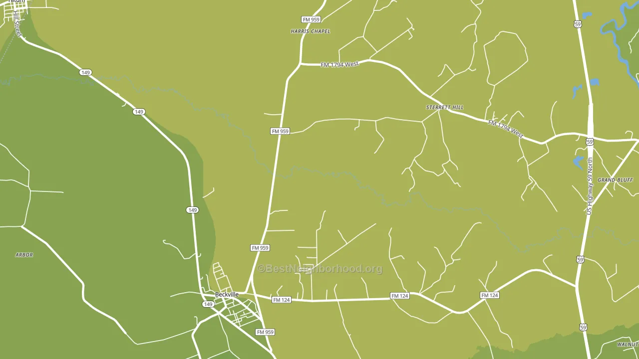 Fair Play, TX block-group voter-turnout map
