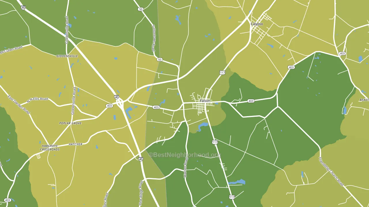 Faison, NC block-group voter-turnout map