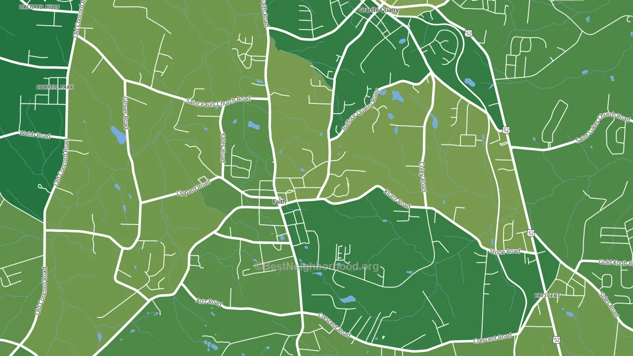 Faith, NC block-group voter-turnout map