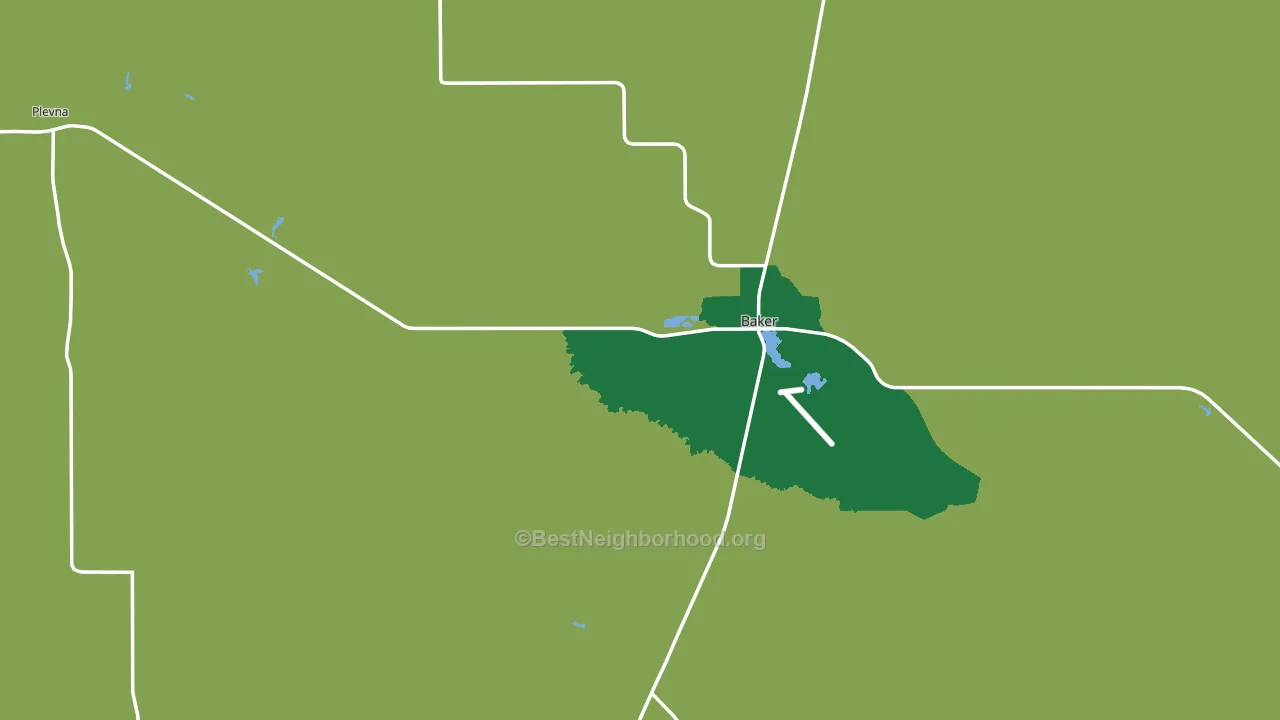 Fallon County, MT block-group voter-turnout map