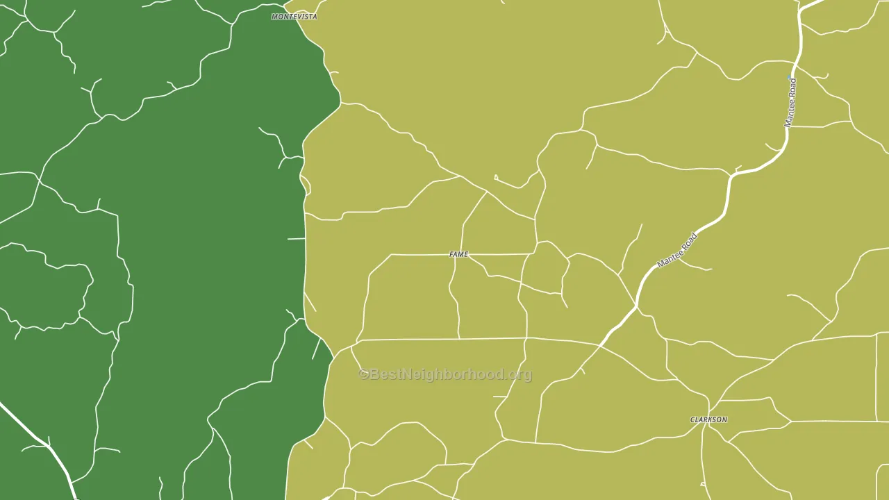 Fame, MS block-group voter-turnout map