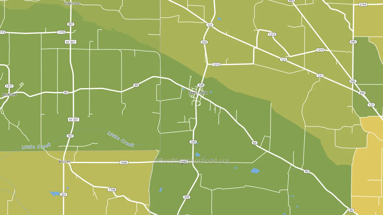 Fancy Farm, KY block-group voter-turnout map