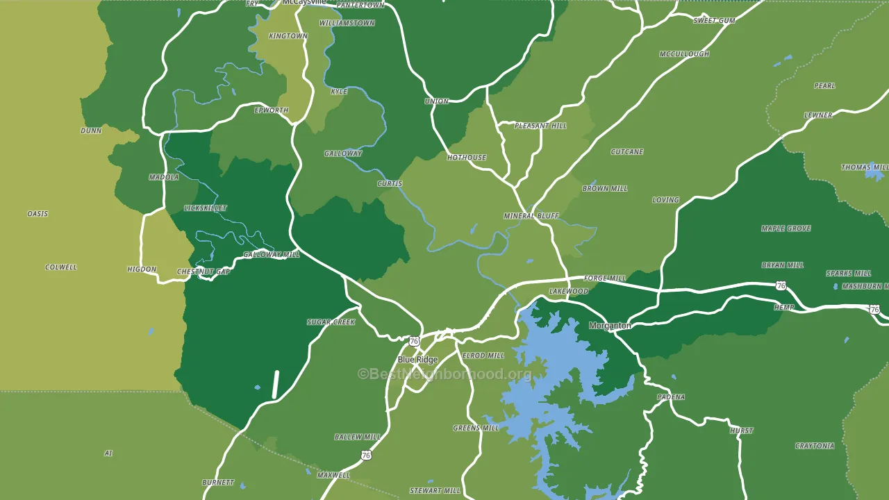 Fannin County, GA block-group voter-turnout map