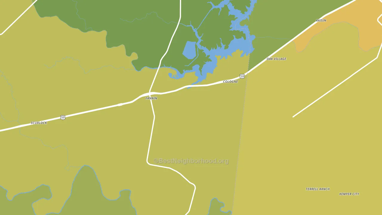 Fannin, TX block-group voter-turnout map
