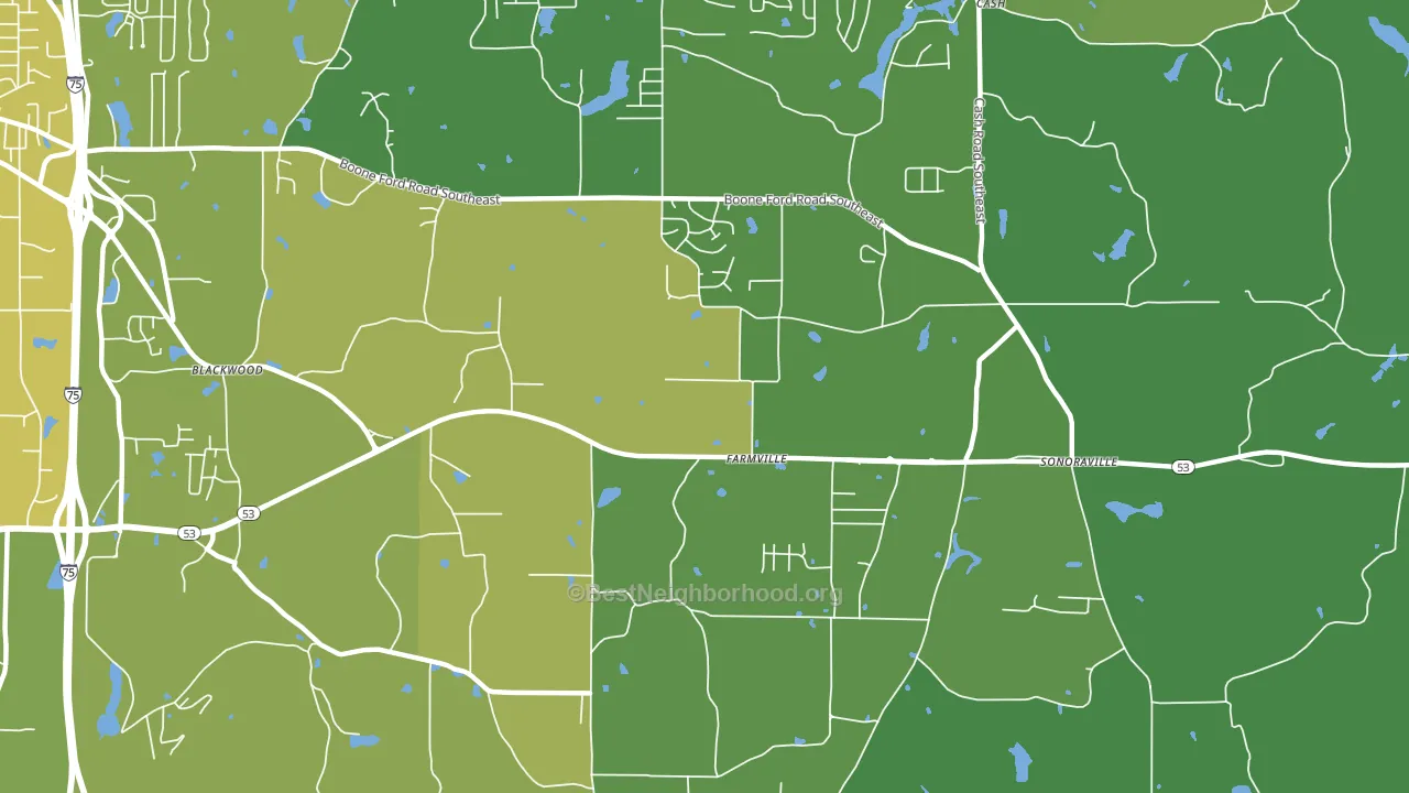 Farmville, GA block-group voter-turnout map