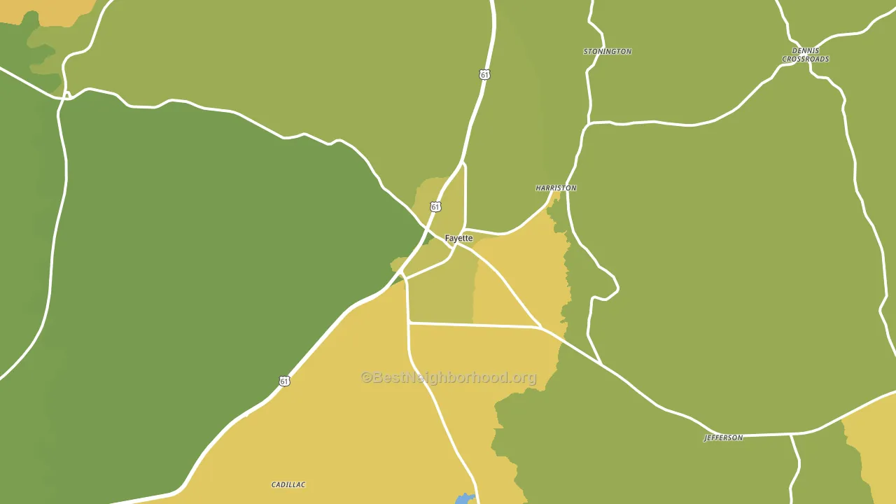 Fayette, MS block-group voter-turnout map