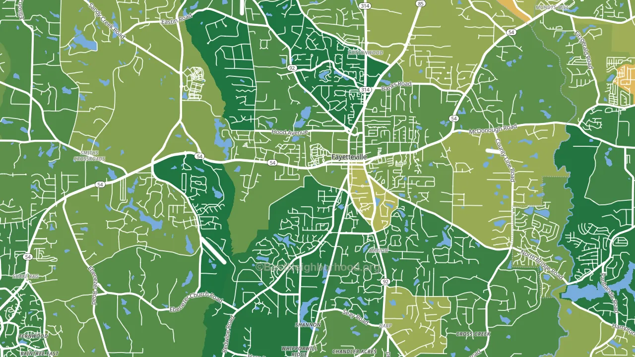 Fayetteville, GA block-group voter-turnout map