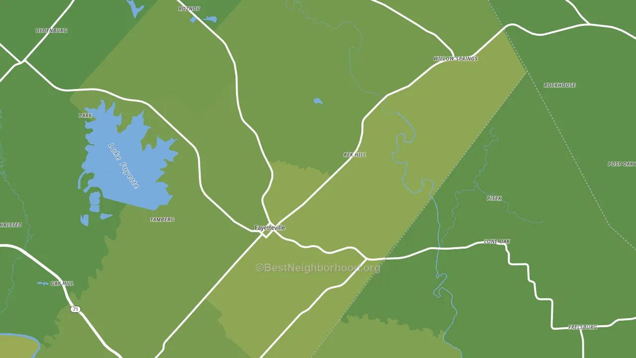 Fayetteville, TX block-group voter-turnout map