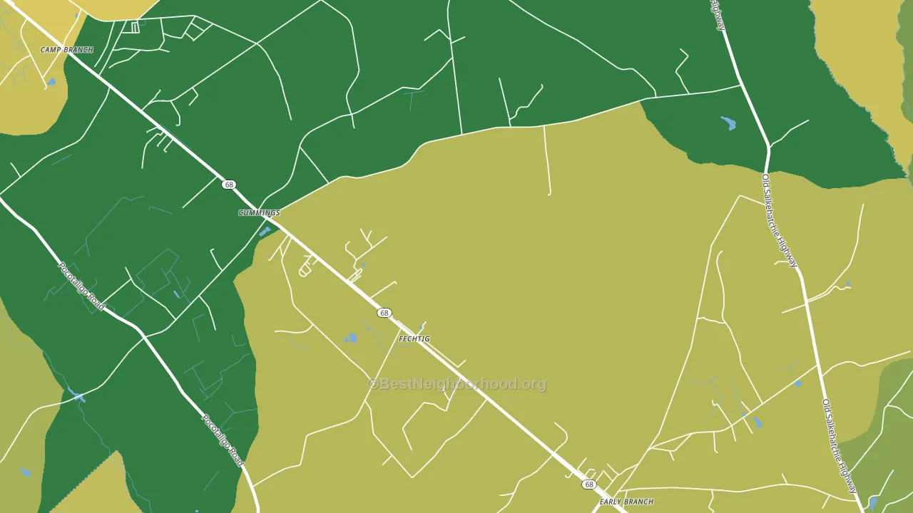 Fechtig, SC block-group voter-turnout map