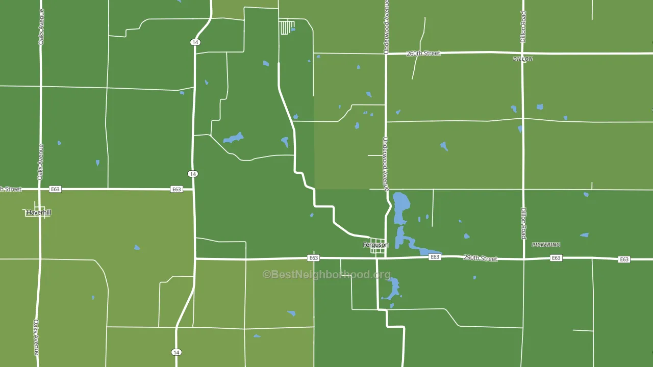 Ferguson, IA block-group voter-turnout map