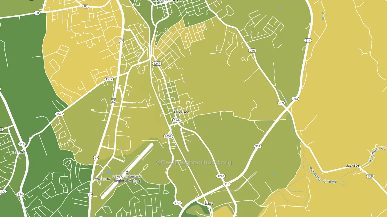 Ferguson, KY block-group voter-turnout map