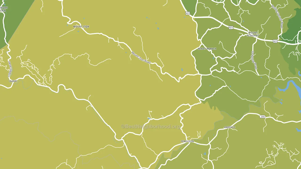 Ferguson, NC block-group voter-turnout map