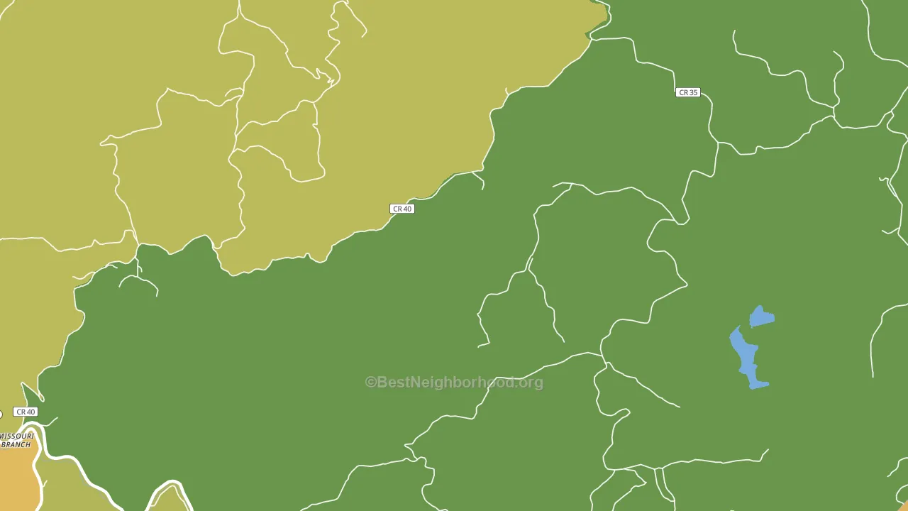 Ferguson, WV block-group voter-turnout map