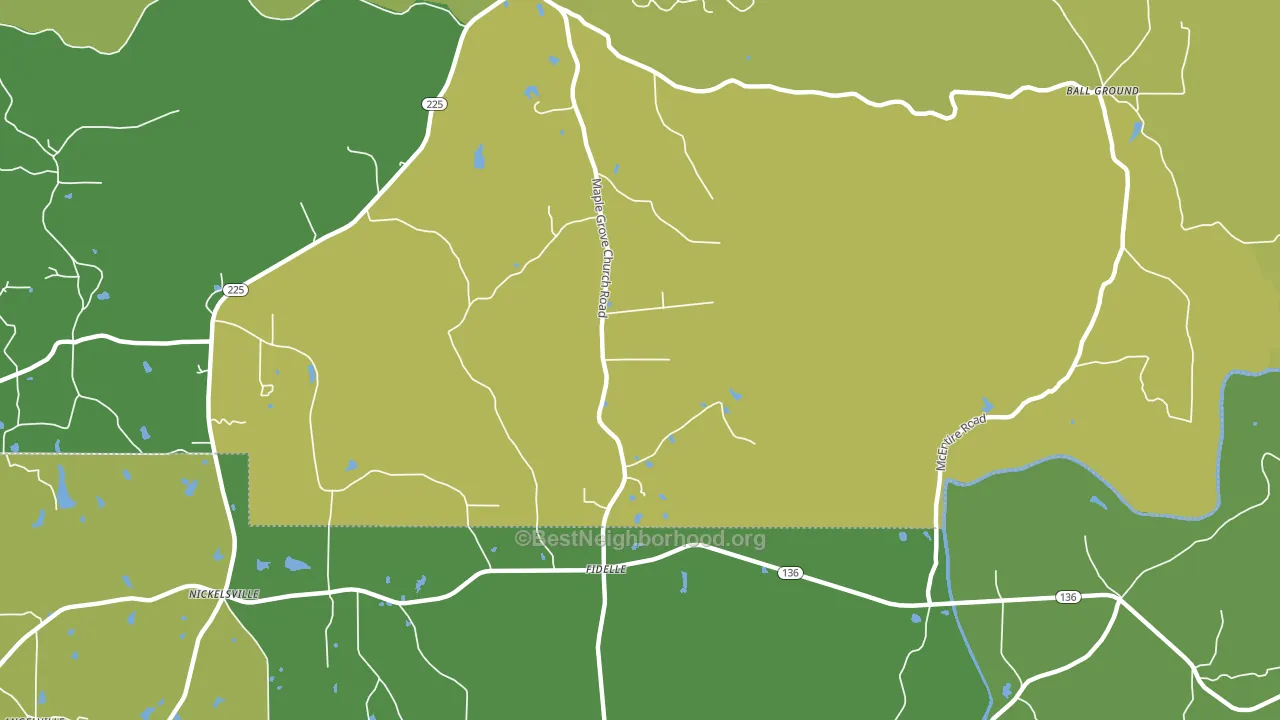 Fidelle, GA block-group voter-turnout map