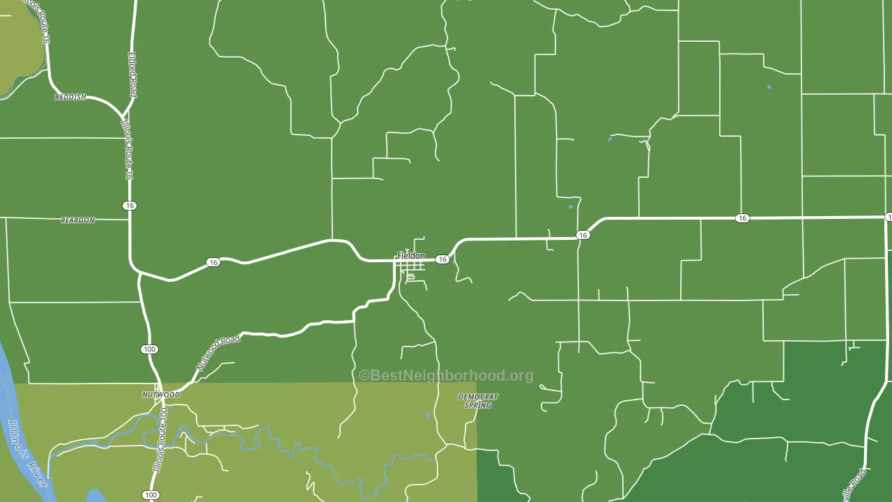 Fieldon, IL block-group voter-turnout map