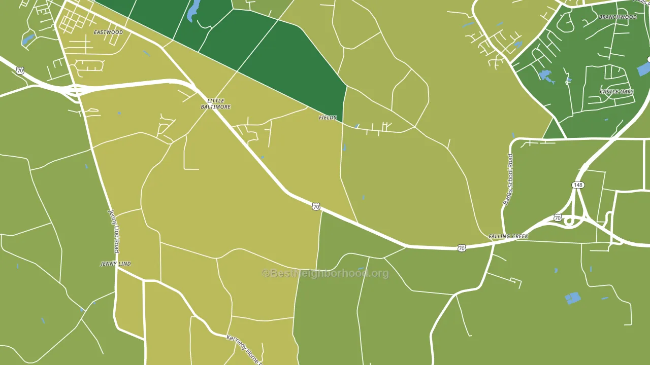 Fields, NC block-group voter-turnout map
