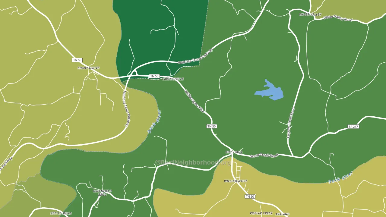 Fikes Mill, TN block-group voter-turnout map
