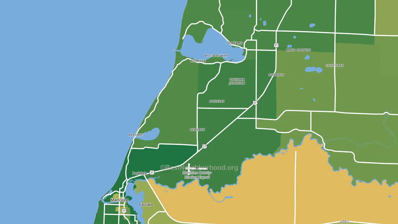 Filer City, MI block-group voter-turnout map