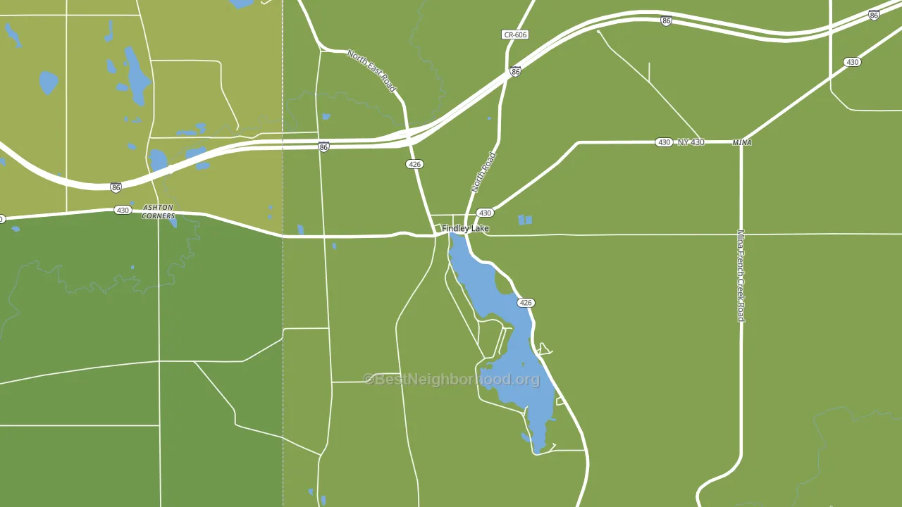 Findley Lake, NY block-group voter-turnout map