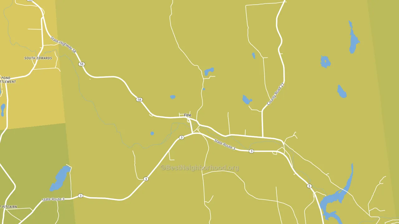 Fine, NY block-group voter-turnout map