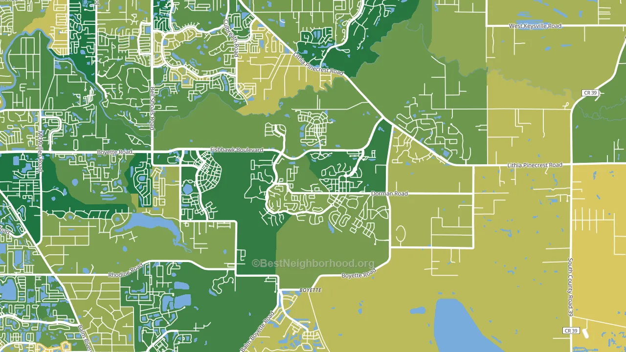 Fish Hawk, FL block-group voter-turnout map