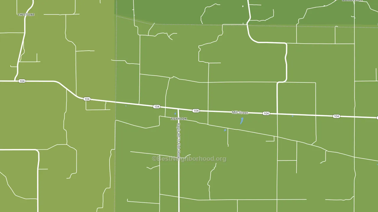 Fishhook, IL block-group voter-turnout map