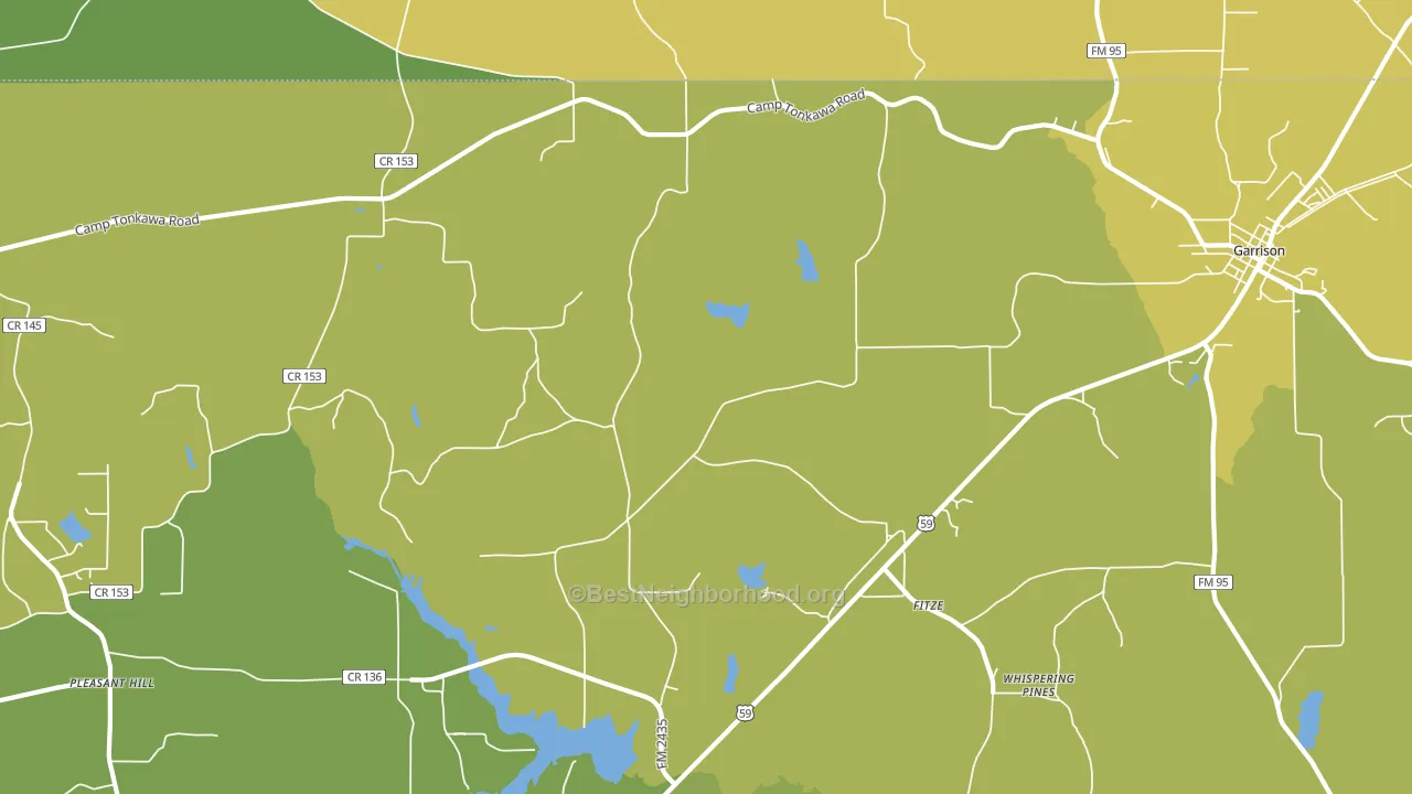 Fitze, TX block-group voter-turnout map