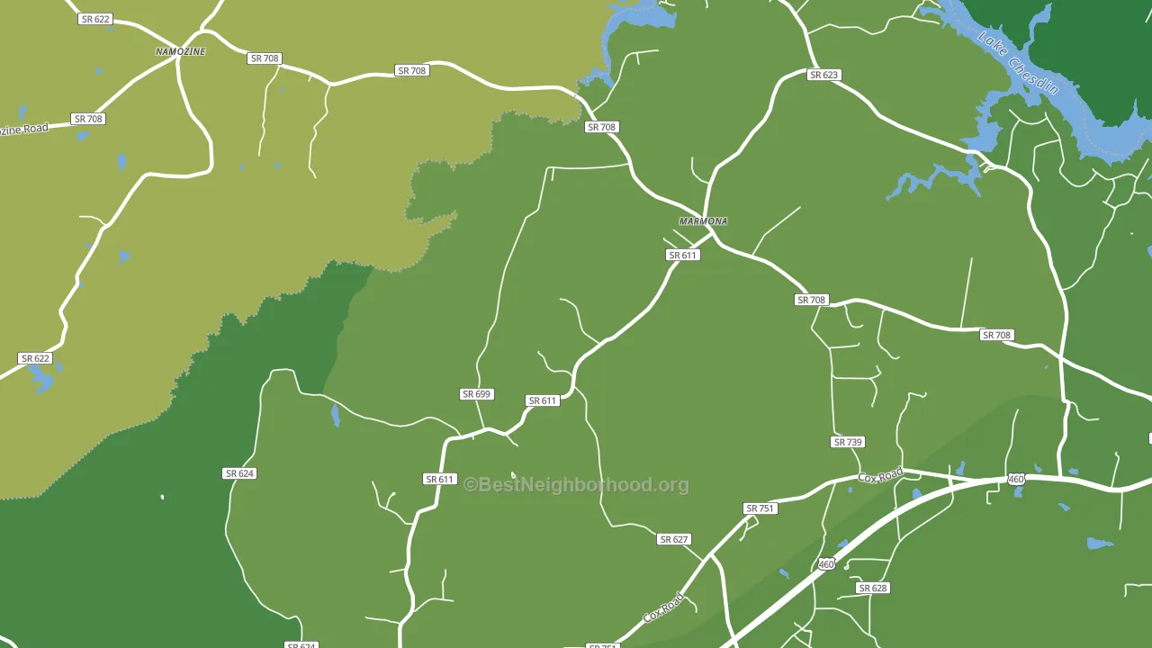 Five Forks, VA block-group voter-turnout map