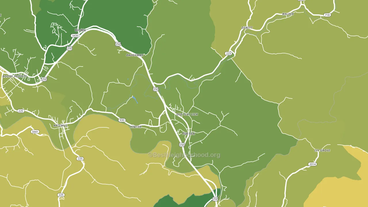 Flat Lick, KY block-group voter-turnout map