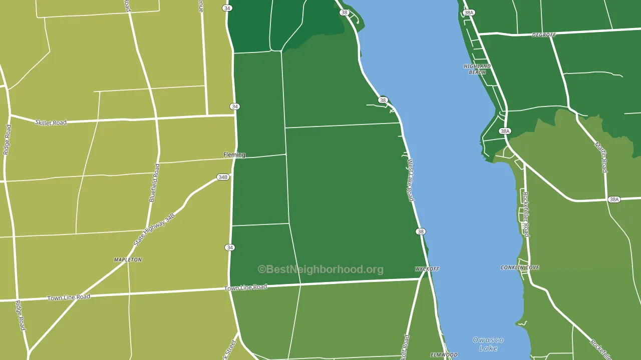 Fleming, NY block-group voter-turnout map