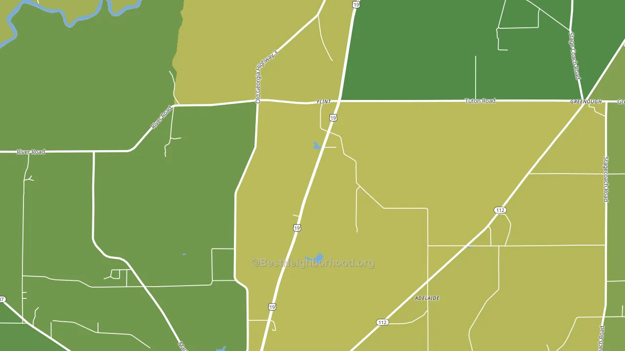 Flint, GA block-group voter-turnout map