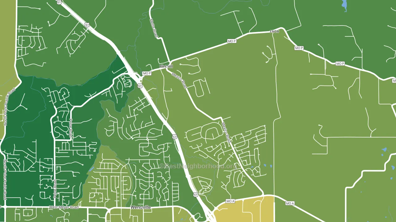 Flint Hill, MO block-group voter-turnout map